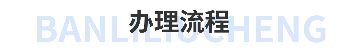 办理流程