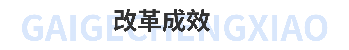 改革成效
